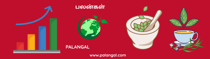 PALANGAL | பலன்கள்